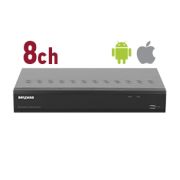 Видеорегистратор RK0108 До 8 IP-каналов