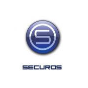 Лицензия SecurOS Premium v.SEV Подключение видеоканала